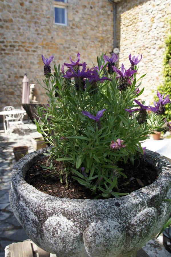 Maison Du Manoir Vallon-Pont-dʼArc Zewnętrze zdjęcie